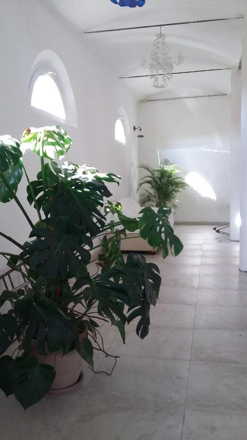 Corte Stellata Holiday Apartments المظهر الخارجي الصورة